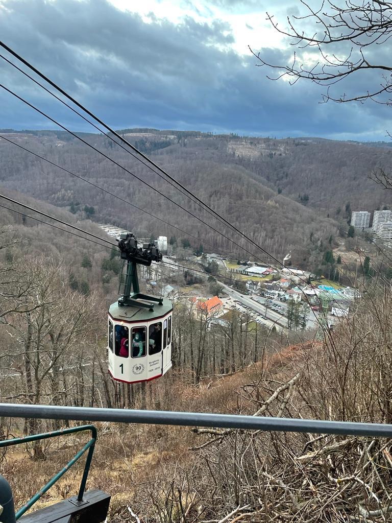 Image_1